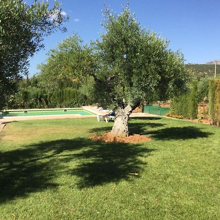 El Carmen Βίλα Ρόντα Εξωτερικό φωτογραφία