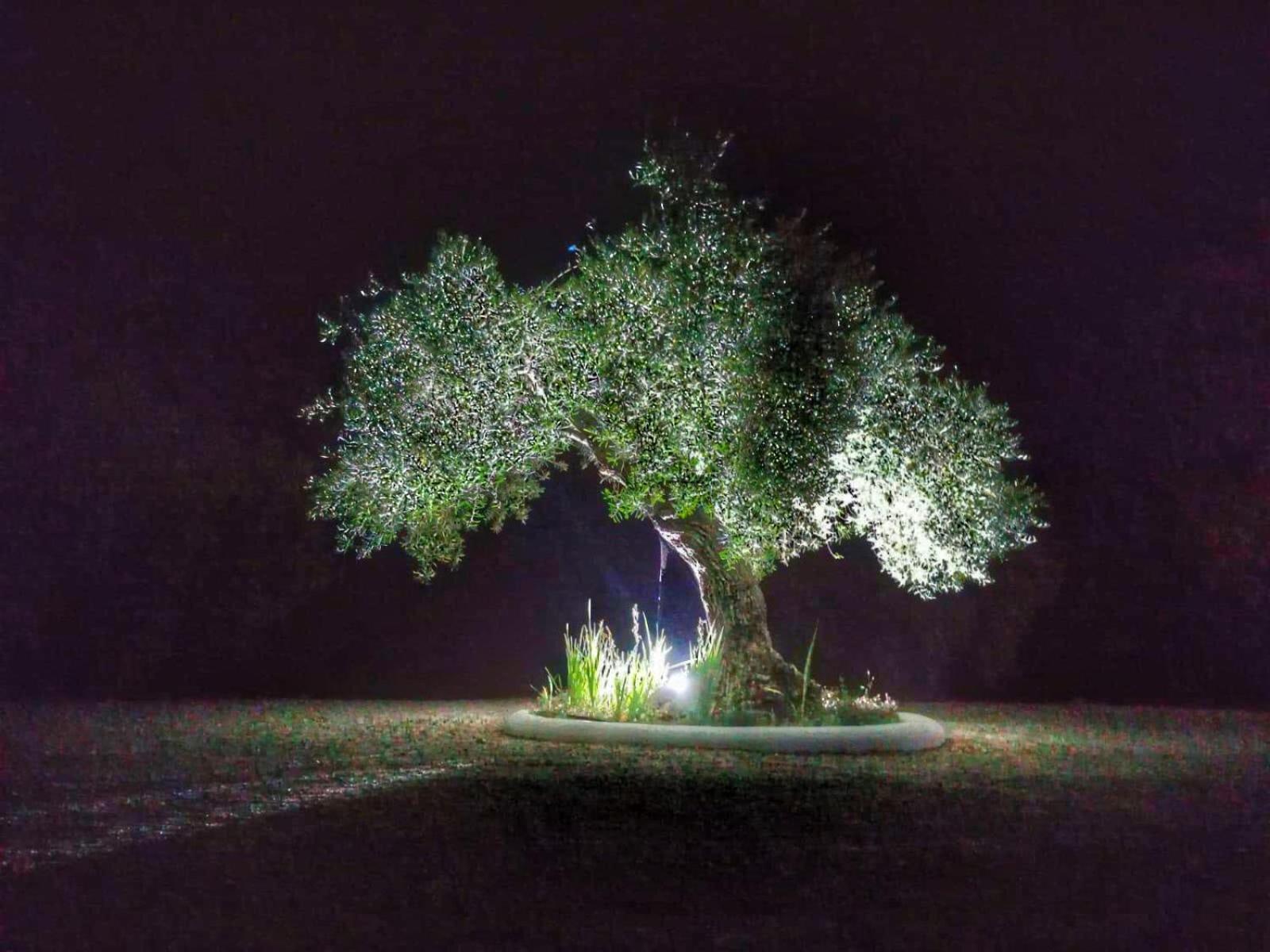 El Carmen Βίλα Ρόντα Εξωτερικό φωτογραφία