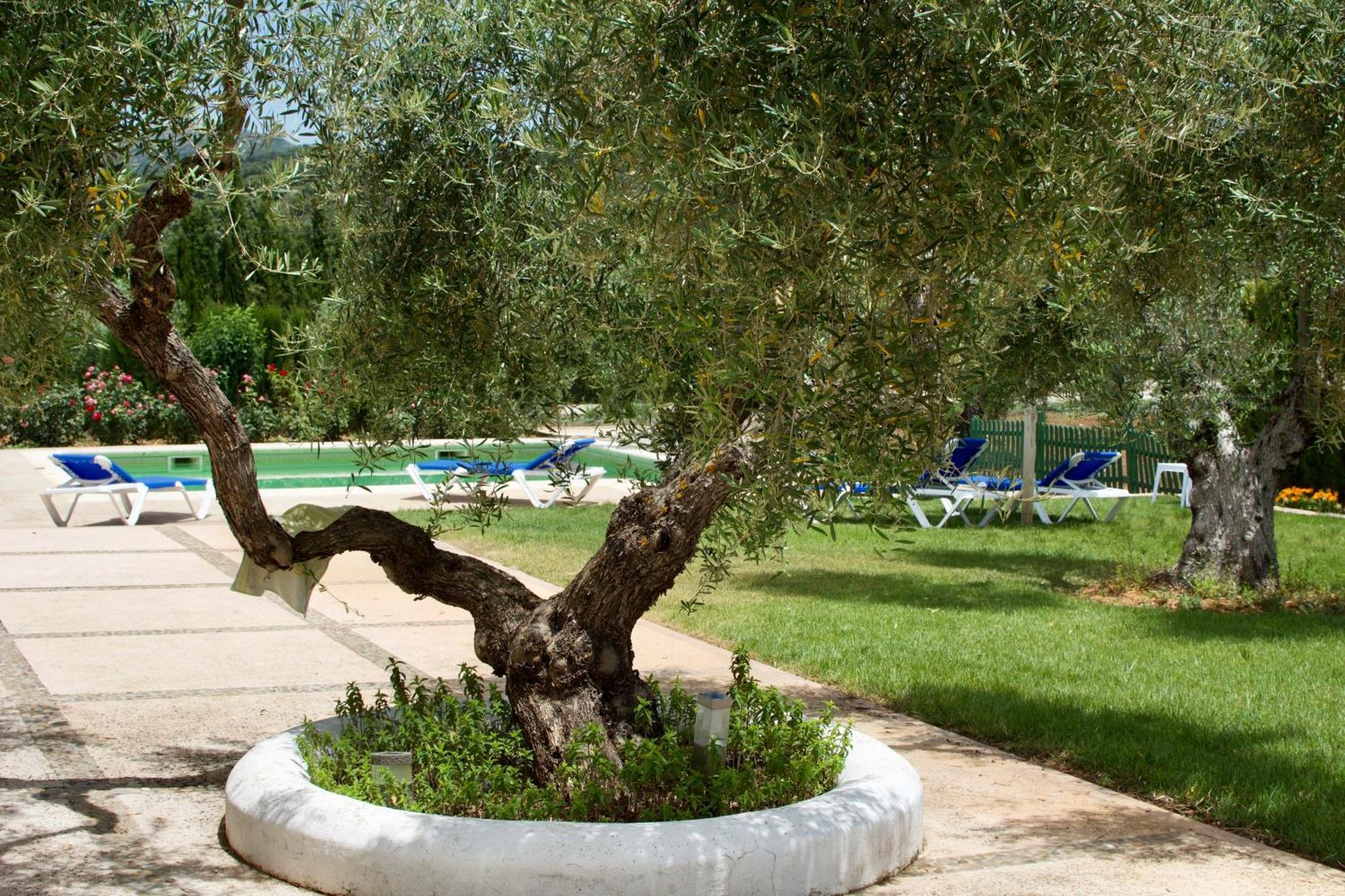 El Carmen Βίλα Ρόντα Εξωτερικό φωτογραφία
